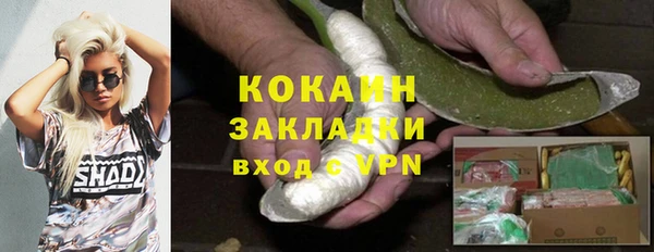 крисы Бронницы