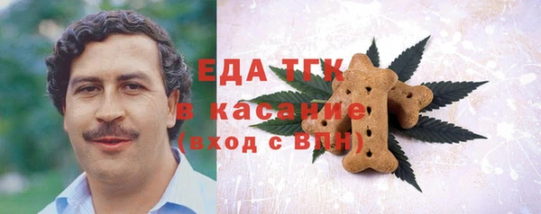 гашик Бородино