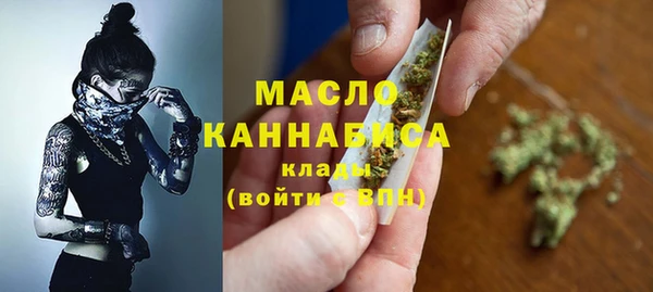 гашик Бородино