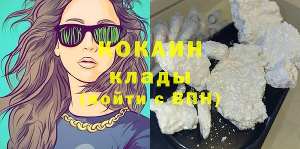 гашик Бородино