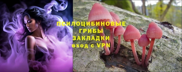 гашик Бородино