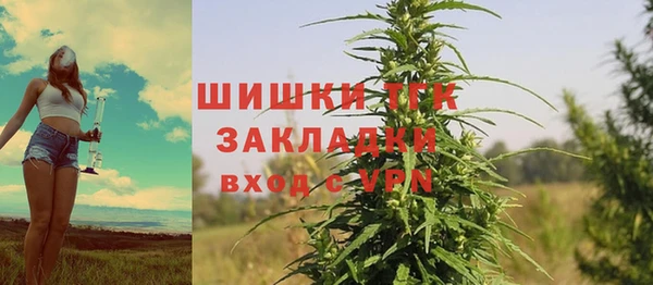 крисы Бронницы