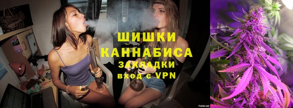 крисы Бронницы