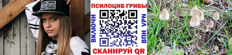 Галлюциногенные грибы мицелий  мориарти клад  Нестеровская 